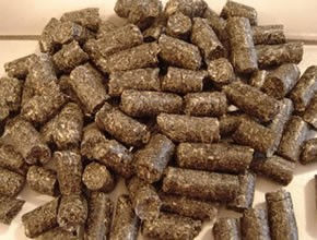 Pellet de Girasol LP/HP