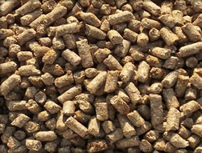 Pellet de Trigo