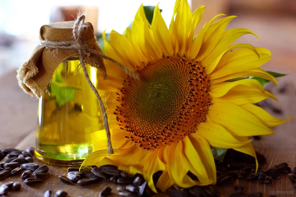 Aceite Refinado a Granel de Girasol